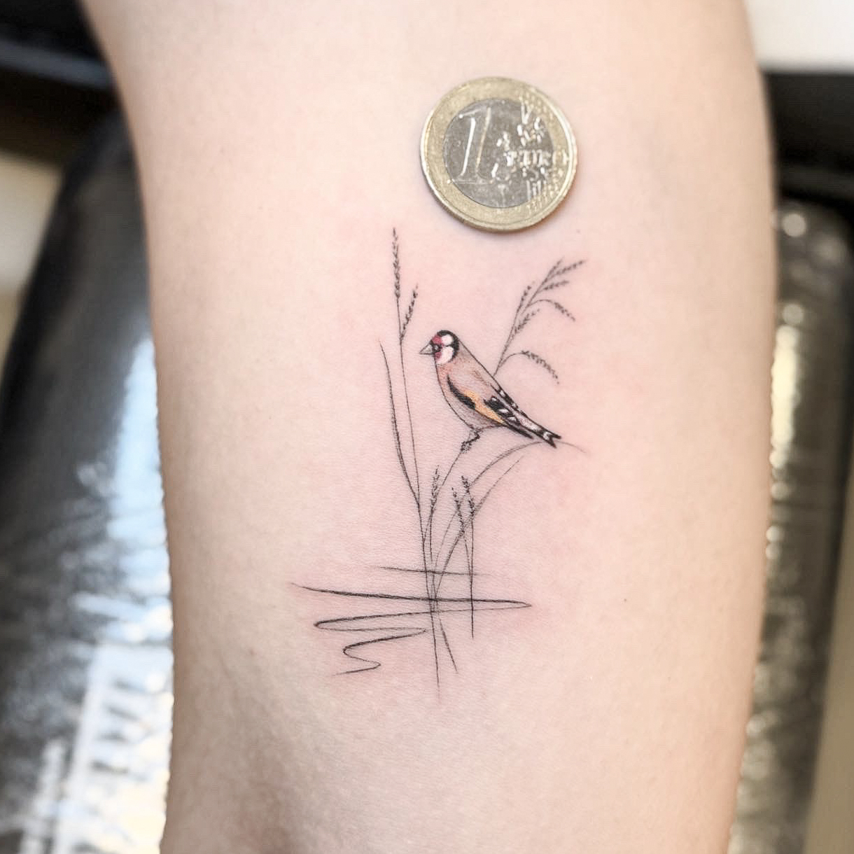 20052025 HJAZ1406