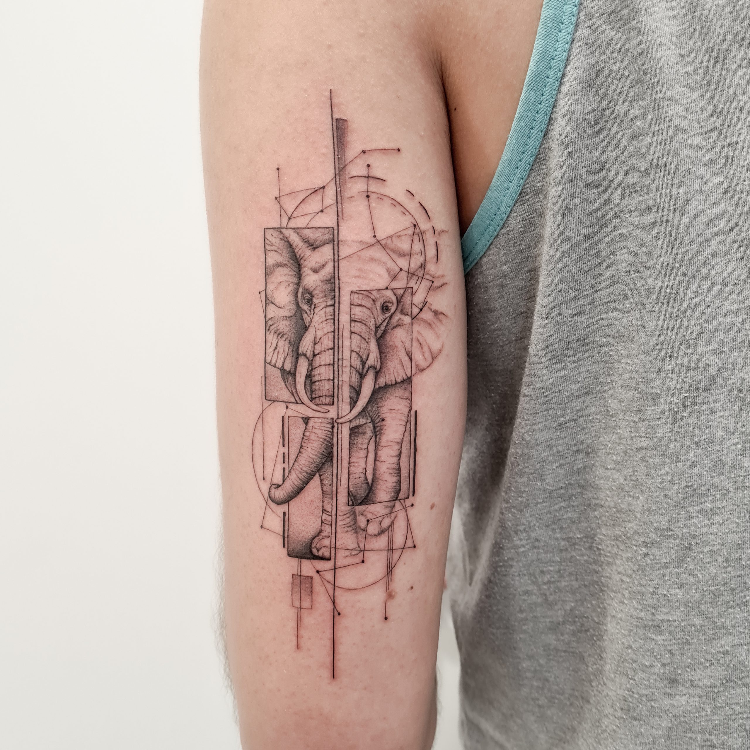 23062023 MWFU8448