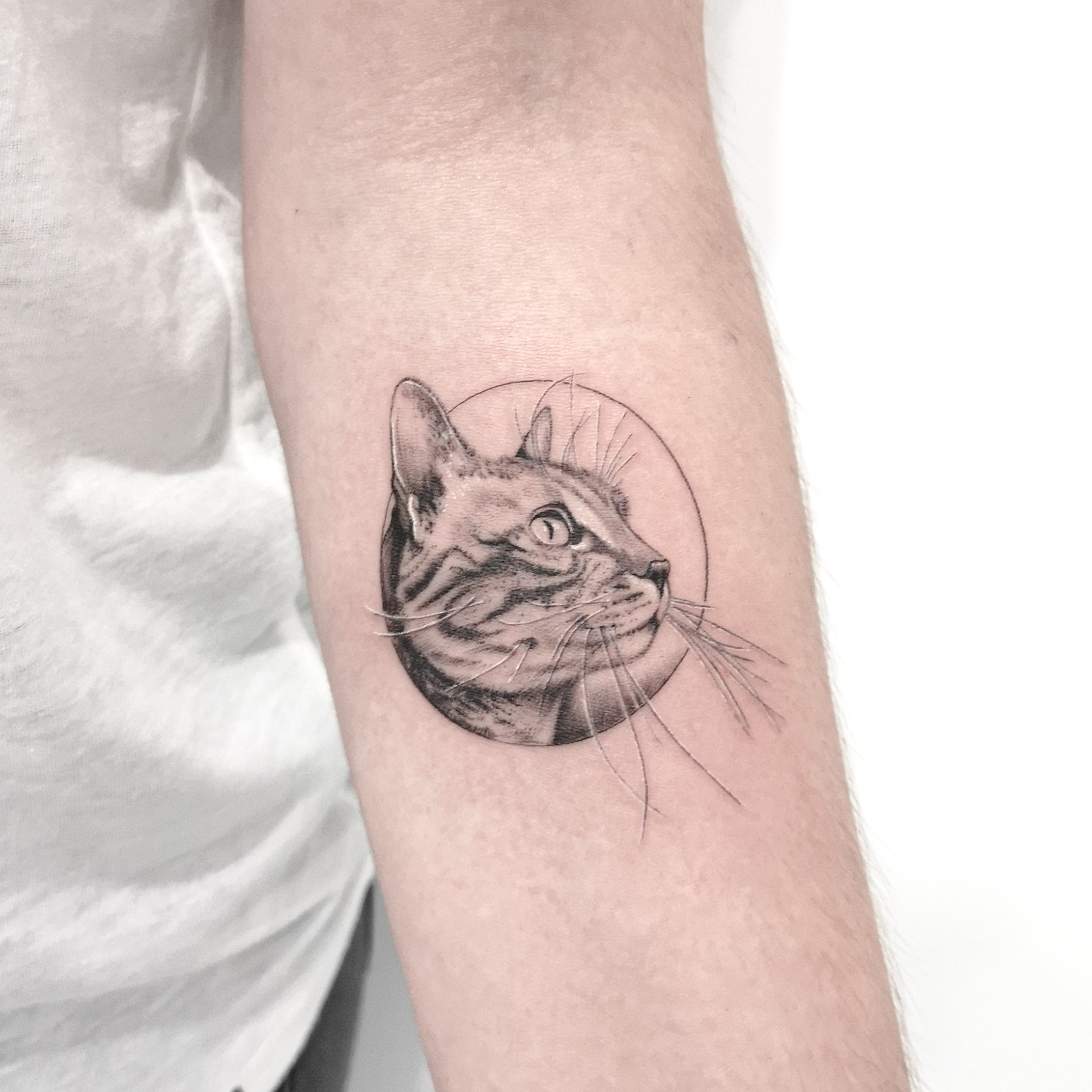 27092019 IFVA2278